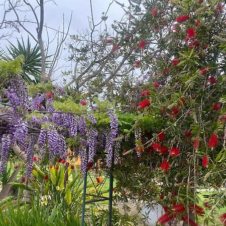 Agrib&B Lemontree Garde'N Сиракузы Экстерьер фото