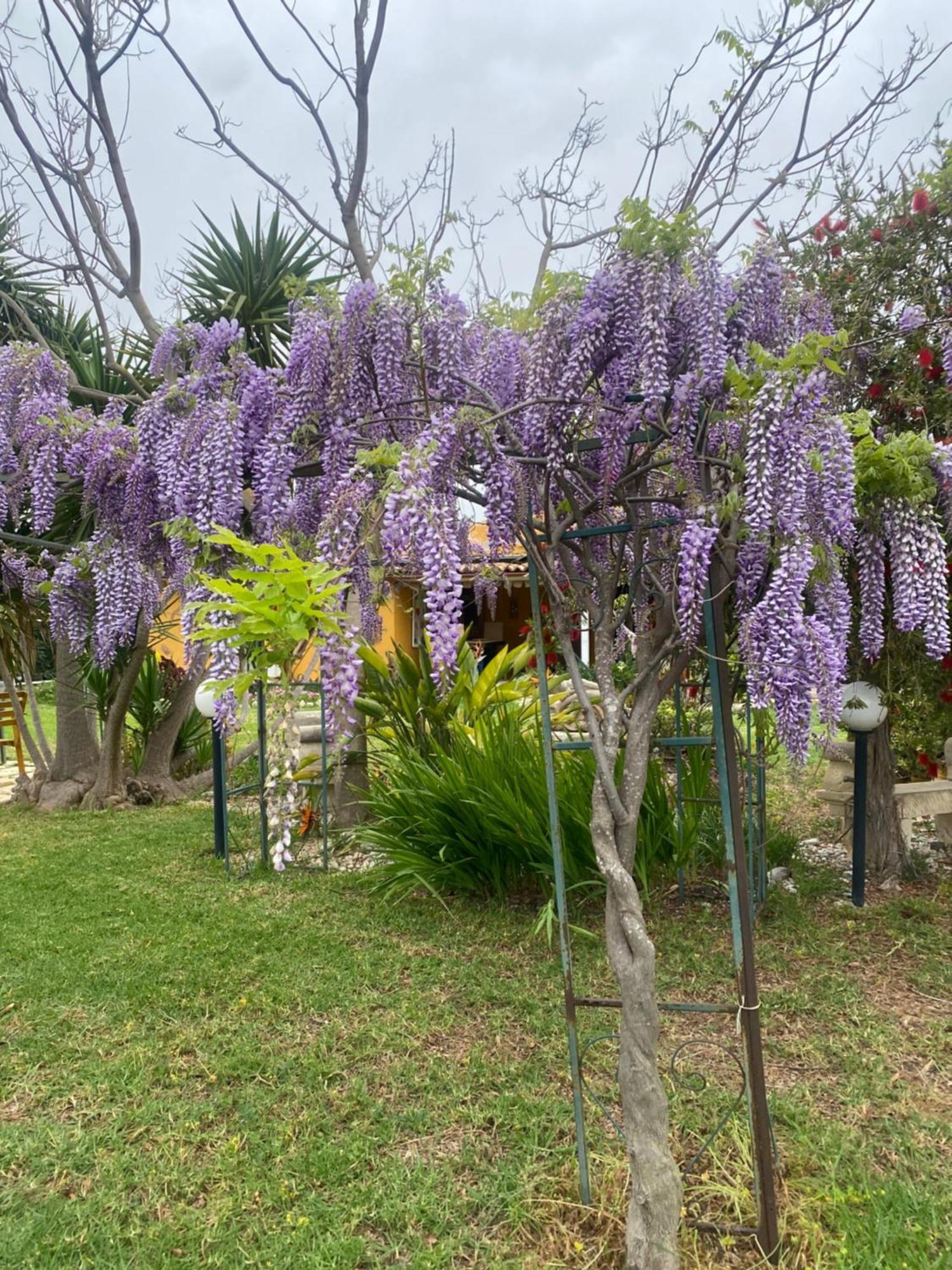 Agrib&B Lemontree Garde'N Сиракузы Экстерьер фото
